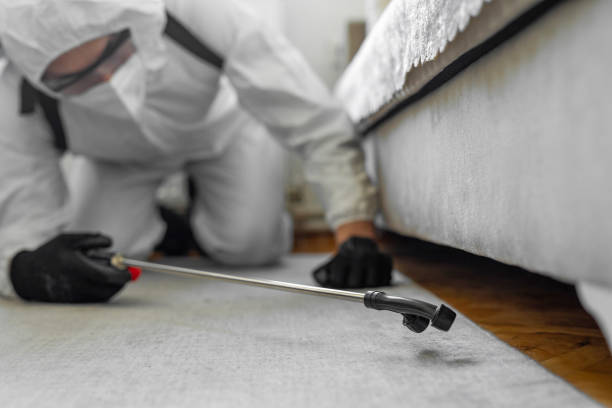 Professional Pest Control technician working in Antlers, OK