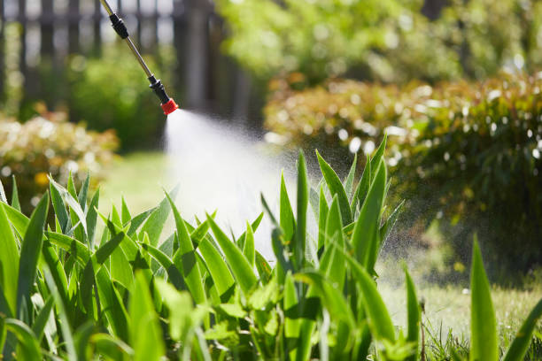 24/7 Emergency Pest Control experts in Antlers, OK