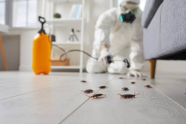 Affordable Pest Control solutions in Antlers, OK