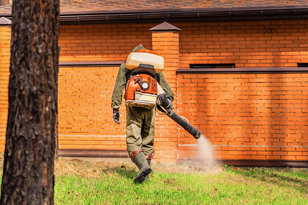 Top rated local Pest Control specialists in Antlers, OK